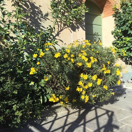 Villa Casa Mita Con Pacchetto Mare Incluso Camaiore Esterno foto