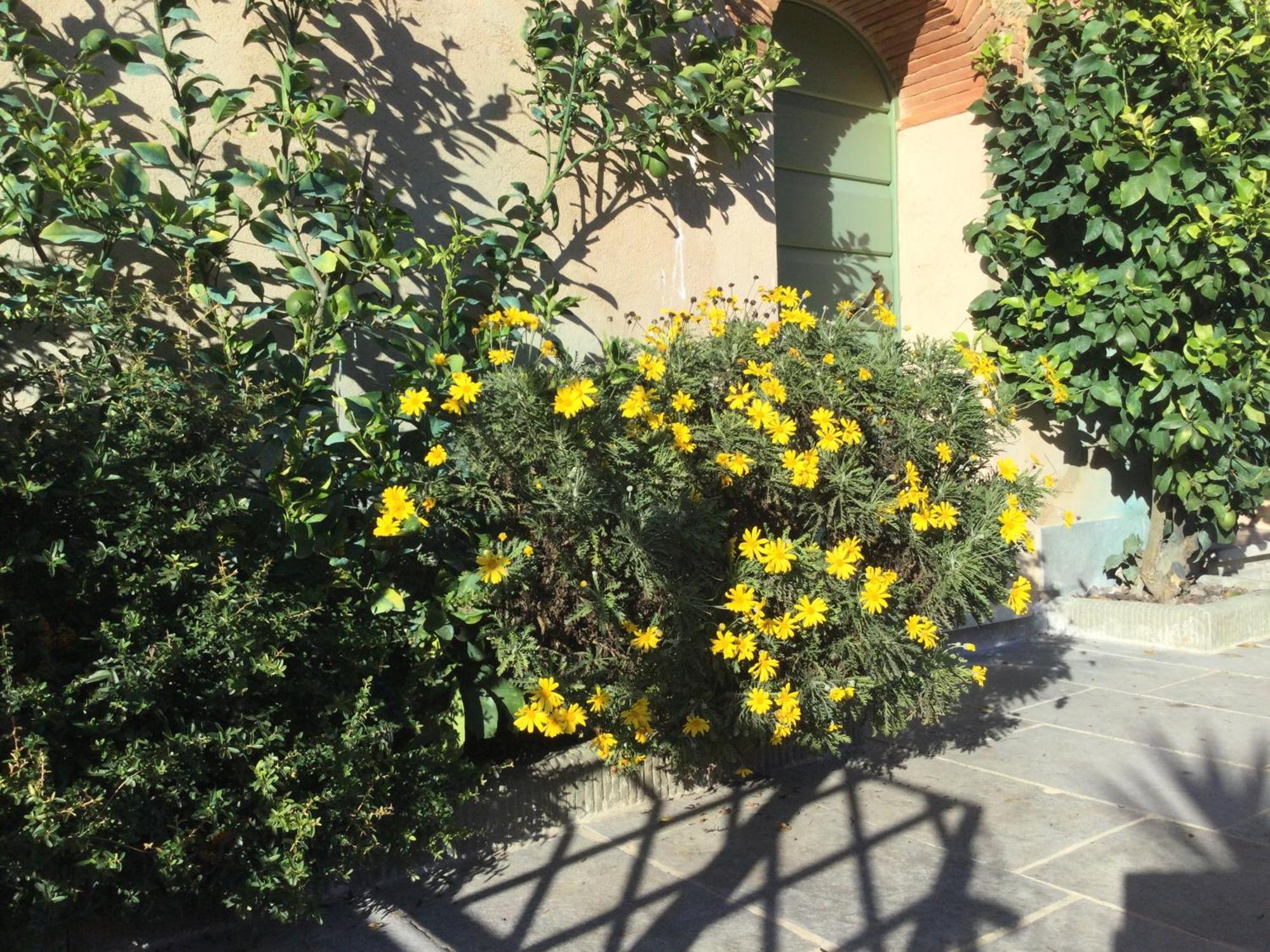 Villa Casa Mita Con Pacchetto Mare Incluso Camaiore Esterno foto