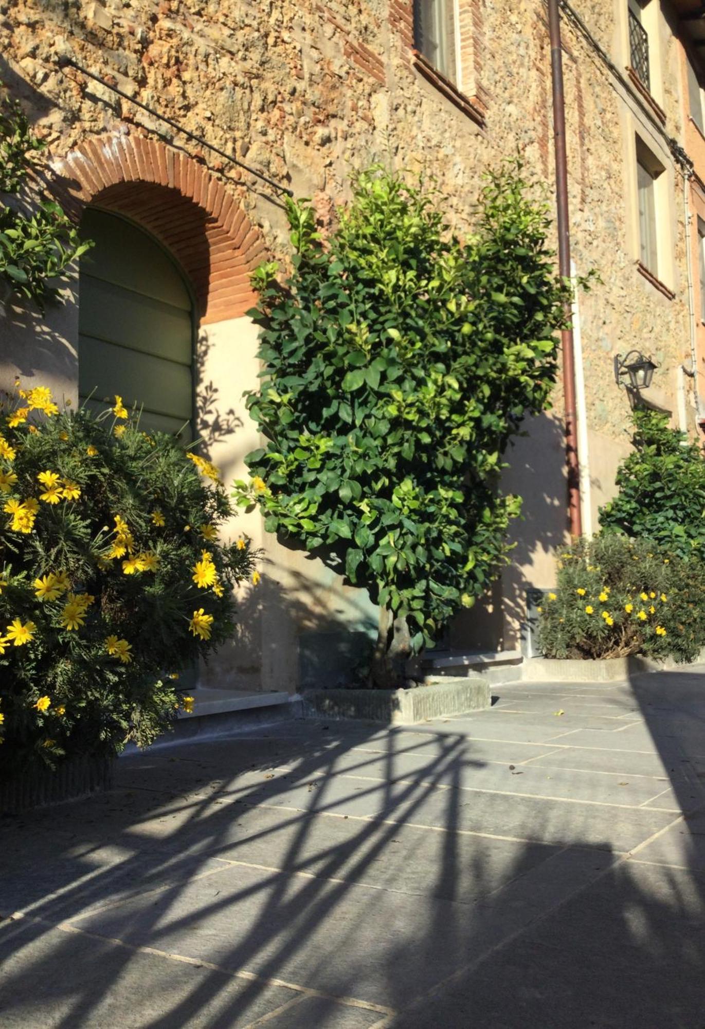 Villa Casa Mita Con Pacchetto Mare Incluso Camaiore Esterno foto